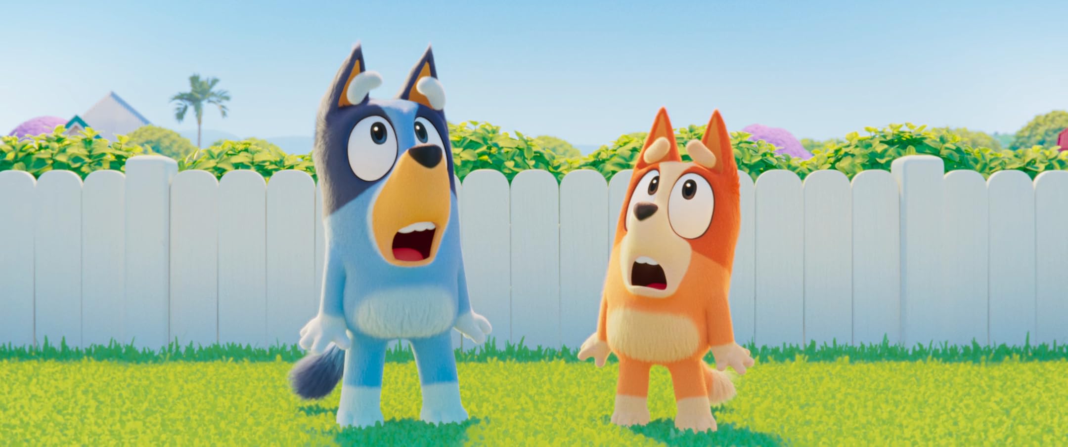 Bluey: o Filme (Dob.)